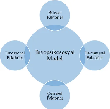 ġekil 2.1. Biyopsikososyal model  2.3.3.1. BiliĢsel faktörler 