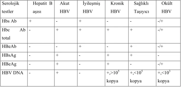 Tablo 2.1. Hepatit B enfeksiyonlu hastalarda tipik serolojik profil 