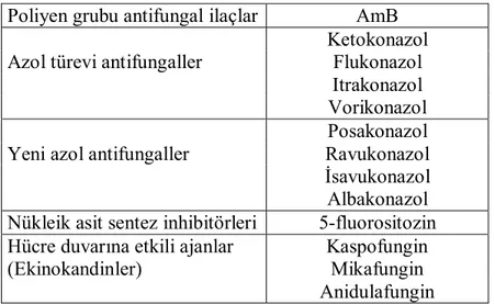 Tablo 2.2 Kandida enfeksiyonlarında kullanılan antifungal ilaçlar 