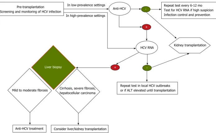 Figure 1  Decision tree for follow-up of hepatitis C virus-positive end-stage renal disease patients