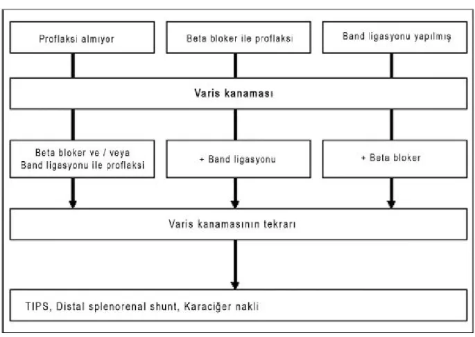 Şekil 2.2. Varis kanamalarında profilaksi 