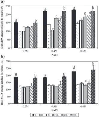 Figure 3. Effect of NaCl treatment on MDA levels of leaves (a) and  roots (b) relative to the control groups in tomato grafted on tobacco