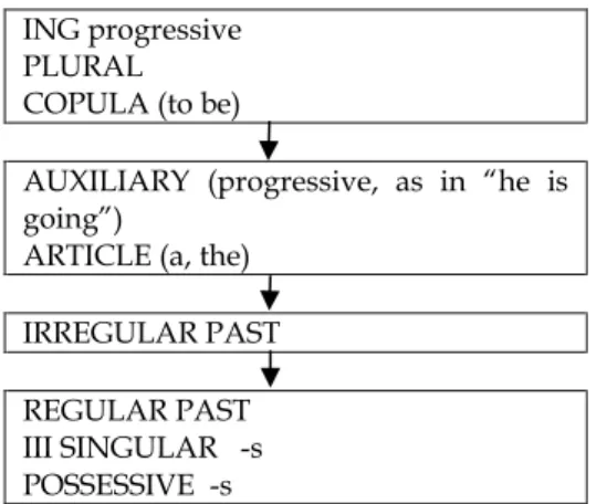 Figure 1. Average Order of Acquisition of Grammatical Morphemes for English  as a Second Language (Children and Adults)  