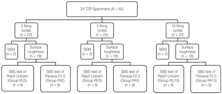Fig. 1.  Distribution of groups according to firing cycles, SEM analysis, surface roughness, and SBS (shear bond strength)  tests