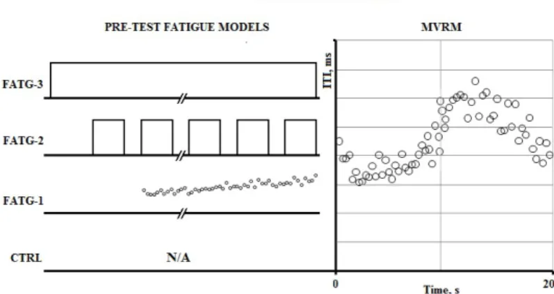 Figure 3. Test protocols: Induced fatigue was developed just before MVRM (FT test)  using different models