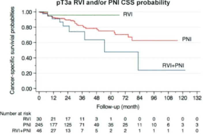Figure 2. Cancer-specific  survival  probability  for  pT3a  according  to  renal  vein and/or perinephric involvement