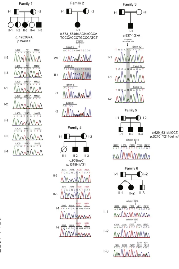 Figure 3. Family pedigrees and Sanger sequencing histograms of DGAT1  deﬁ-ciency. Filled shapes  indi-cate affected individuals, half- ﬁlled are heterozygous for mutation indicated, and empty shapes indicate wild type.