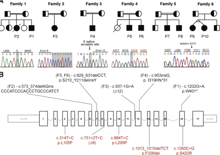 Figure 1. Pedigrees, mutations, and genetic location of 6 families with DGAT1 de ﬁciency