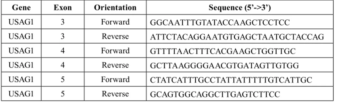 Table 2 . Sequences of primers used of the amplification of SOSTC1 gene.