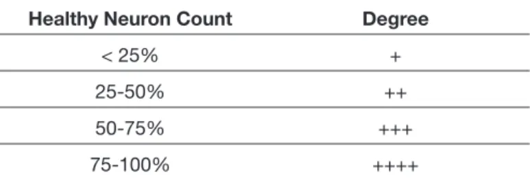Table I: Histological Neuronal Evaluation Criteria Healthy Neuron Count Degree