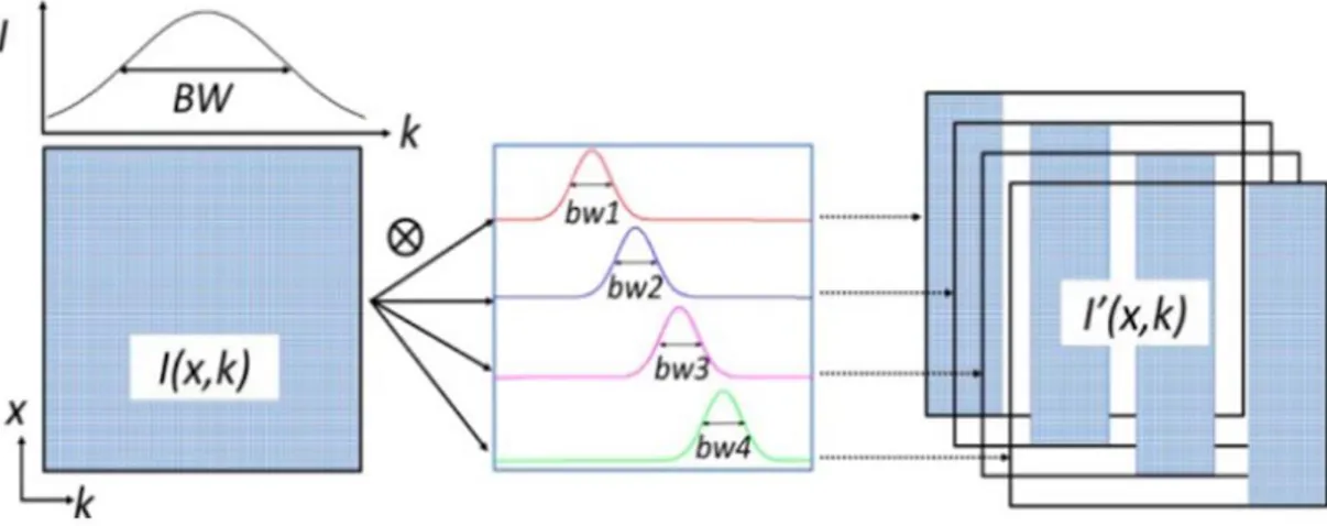 Şekil 2.7. Split  Spektrum  Amplitüd  Dekorelasyon Anjiyografi (SSADA) Algoritması  (106) 