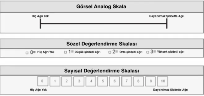 Şekil 2.1. Temel ağrı yoğunluğu ölçüm skalaları 