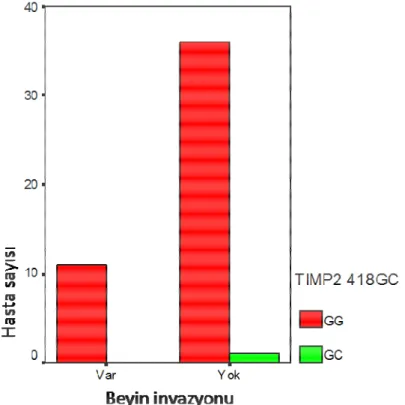 Şekil 3.6.  TIMP-2 418G&gt;C polimorfizminin hasta sayısı ve beyin invazyonu dağılımı  