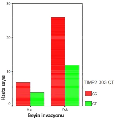 Şekil 3.7. TIMP-2 303C&gt;T polimorfizminin hasta sayısı ve beyin invazyonu dağılımı  