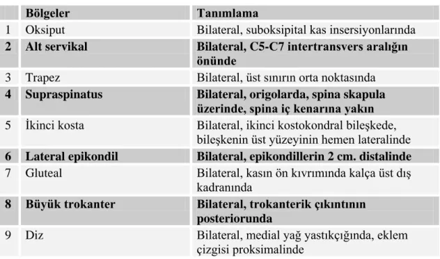 Tablo 11.  FMS‟de hassas noktalar 
