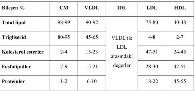 Tablo 2.2. Lipoproteinlerin bileşimi  Bileşen %  CM  VLDL  IDL  LDL  HDL  Total lipid  98-99  90-92  75-80  40-48  Trigliserid  80-95  45-65  4-8  2-7  Kolesterol esterler  2-4  15-23  47-51  24-45  Fosfolipidler  7-9  15-21  28-30  42-51  Proteinler  1-2 