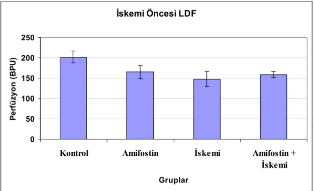 Grafik 3: LDF indeks değerlerinin dağılımı 