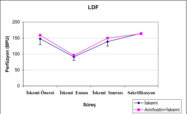 Grafik 4: LDF indeks değerlerinin sürece göre dağılımı 