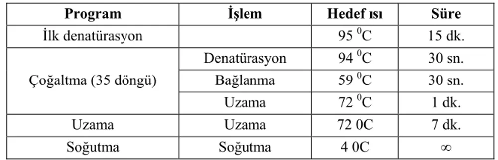 Tablo 3.4 ExoSap yöntemi ile PZR ürünlerinin saflaştırılma yöntemi 