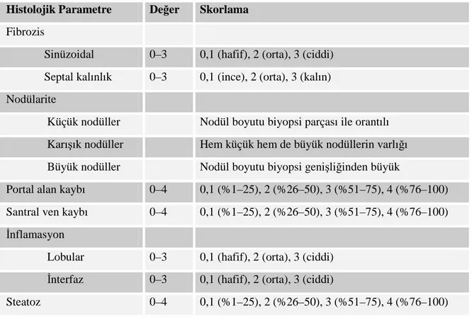 Tablo 3.1. Çalışmada kullanılan histolojik parametreler ve derecelendirmeleri 