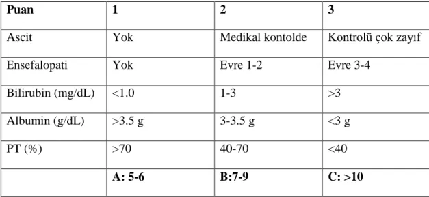 Tablo 2.2. CPT’nin değerlendirilmesi   