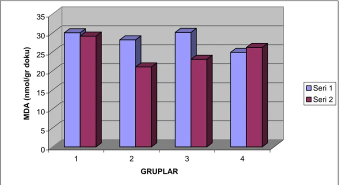 Grafik 5: Doku MDA Değerlerinin Gruplar Arası Karşılaştırılmalı Dağılımı 