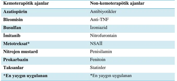 Tablo 2.3. Hipersensitivite pnömonitisiye neden olan ajanlar 