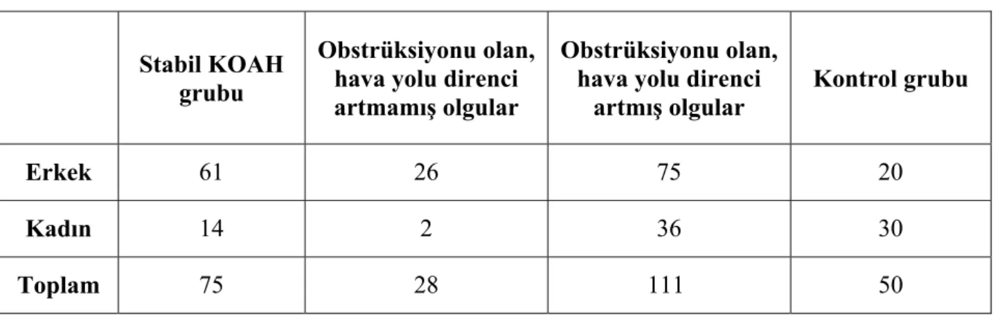 Tablo 3.1. Çalışma Grubu 
