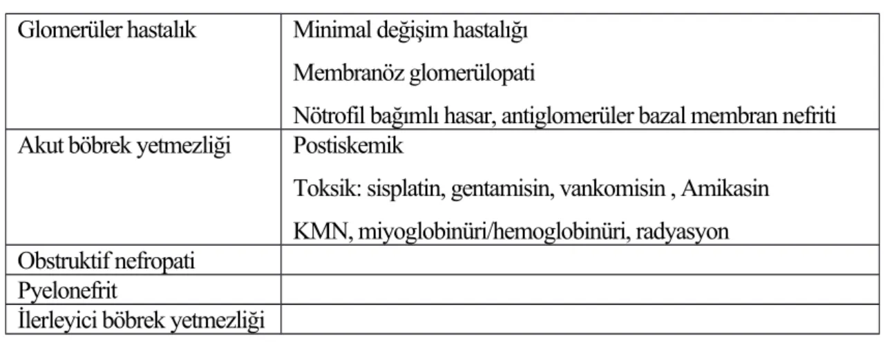 Tablo 2. 3. Serbest oksijen radikallerinin yaptıkları böbrek hastalıkları (81)