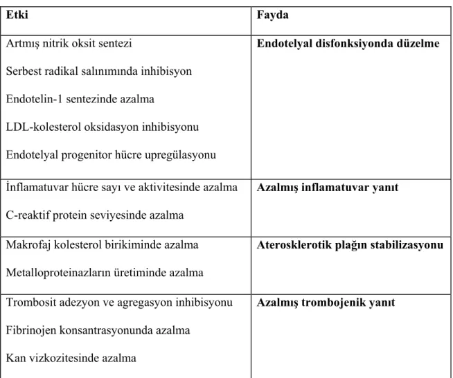 Tablo 2.3.2.1. Statin pleotropisinde rol alan mekanizmalar (87) 