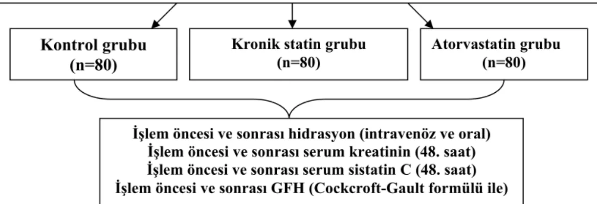 Şekil 3.1.1. Çalışma dizaynı 