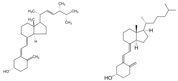 Şekil 2.1. Vitamin D 2  ve Vitamin D 3  moleküler yapıları 