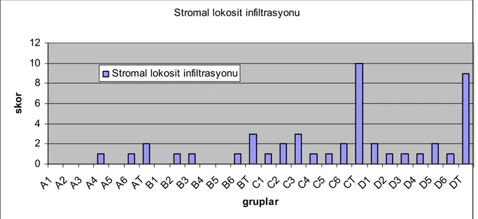 Grafik 4.3.  Histapatolojik değerlendirmeye göre stromal lokosit infiltrasyonu 