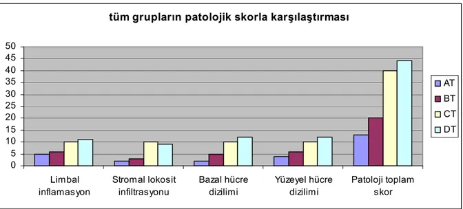 Grafik 4. 6.  Histapatolojik değerlendirmeye göre toplam skor karşılaştırması