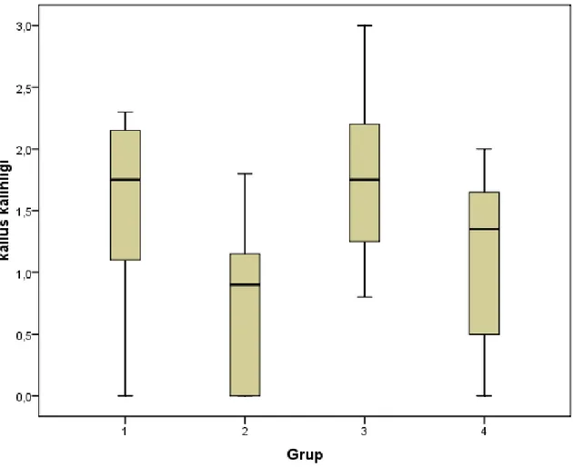 Grafik 4.1: Tüm gruplarda radyolojik olarak kallus kalınlığının gösterilmesi, Grup II deneklerde kallus  kalınlığı diğer gruplardaki deneklere göre düşük olarak saptanmış, istatistiksel olarak da anlamlı 