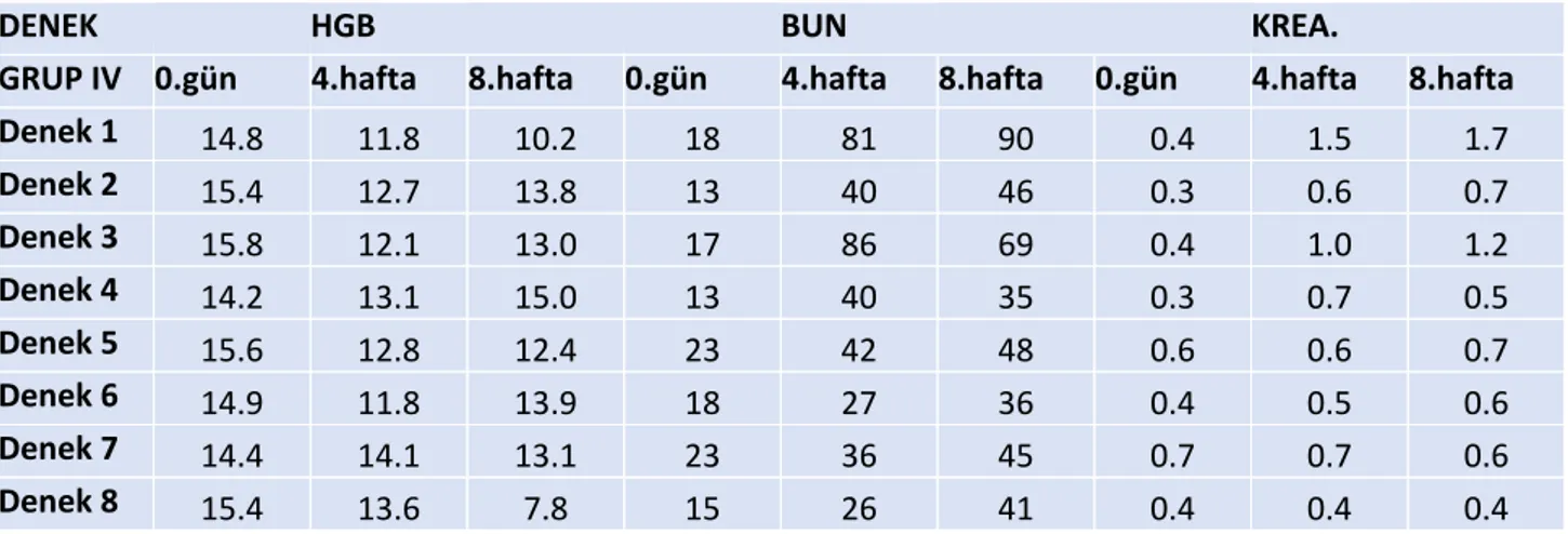 Tablo 4.7; Grup IV deneklerin 0, 4 ve 8.hafta laboratuvar verileri 