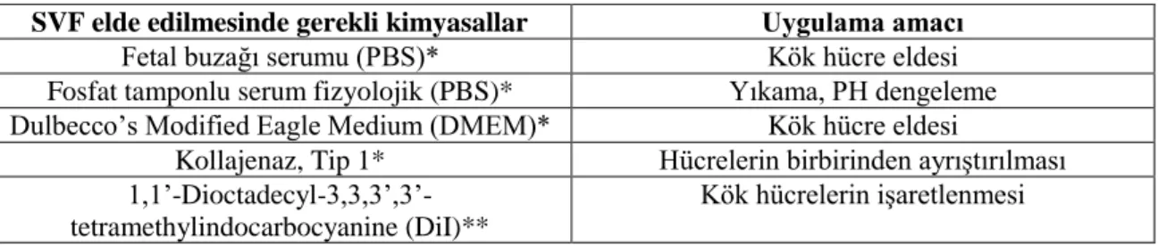 Tablo 3.3: SVF eldesi sırasında kullanılan kimyasal maddeler (* Gibco-invitrogen, ** Santa Cruz, inc.) 