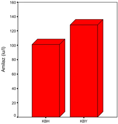 Şekil 1. KBH ve KBY Gruplarına Göre Olguların Amilaz Düzeyleri   