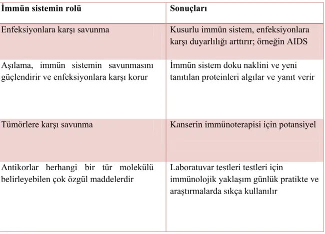 Tablo 2.4. İmmün sistemin önemi  