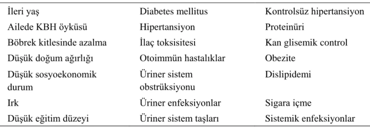 Tablo 2.2. Kronik böbrek hastalığı risk faktörleri 