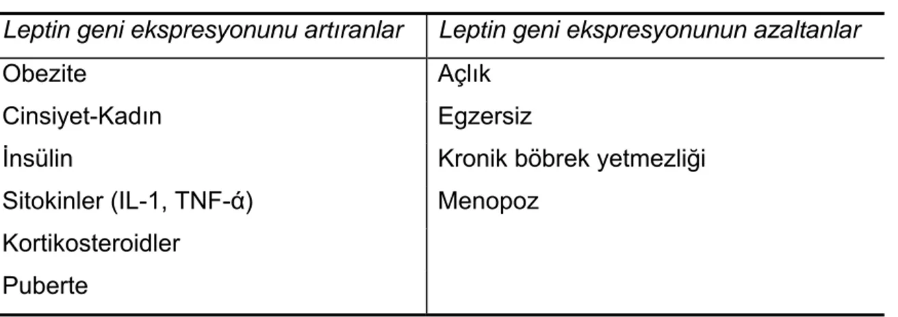 Tablo 2. 2. Leptin gen ekspresyonunun etkileyen faktörler 