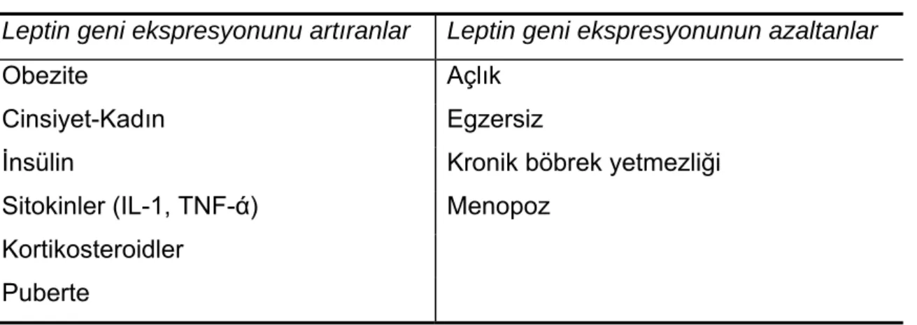 Tablo 2. 2. Leptin gen ekspresyonunun etkileyen faktörler 