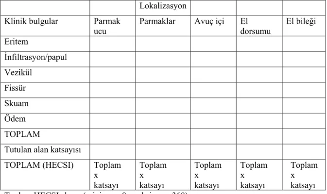 Tablo 3.1. HECSI skoru hesaplanma yöntemi     