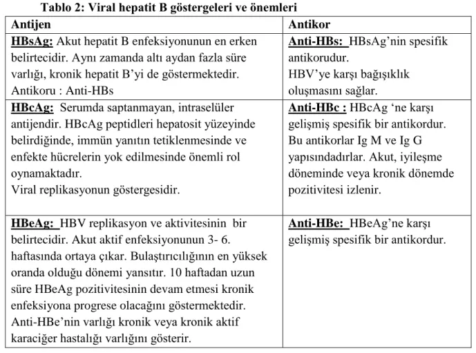Tablo 2: Viral hepatit B göstergeleri ve önemleri 