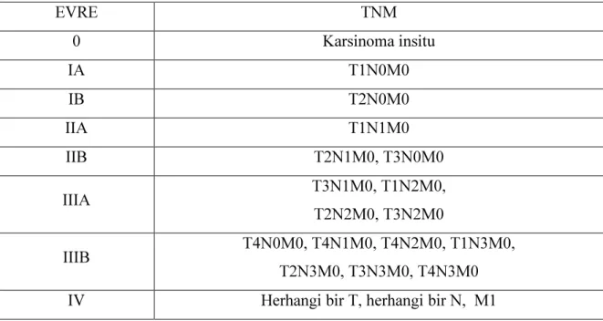 Tablo 2.4: TNM’ye Göre KHOAK’de Evreleme  EVRE TNM  0 Karsinoma  insitu  IA T1N0M0  IB T2N0M0  IIA T1N1M0  IIB T2N1M0,  T3N0M0  IIIA  T3N1M0, T1N2M0,  T2N2M0, T3N2M0  IIIB  T4N0M0, T4N1M0, T4N2M0, T1N3M0,  T2N3M0, T3N3M0, T4N3M0  IV  Herhangi bir T, herhan