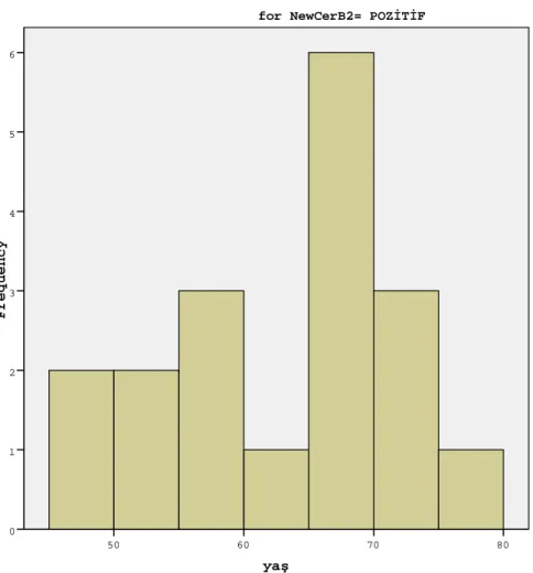 Şekil 4.2: C-erbB-2 (+) olan hastaların yaş dağılımları 