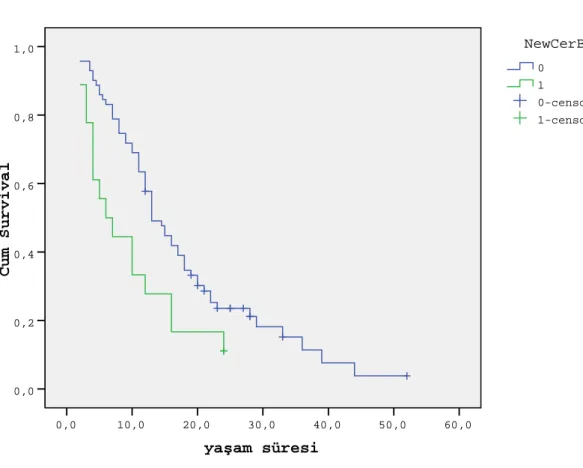 Şekil 4.4. C-erbB-2 Pozitif ve c-erbB-2 Negatif  Hastaların Sağkalım Eğrileri    