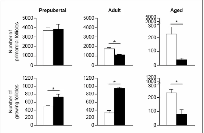 Şekil 2.9.  Prepubertal, yetişkin ve ileri yaşta normal (□) ve AMHKO (■) farelerde folikül  popülasyonu (344) 
