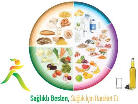 Şekil 2.1. Sağlıklı Yemek Tabağı: Besin gruplarına göre sağlıklı beslenme tabağı 