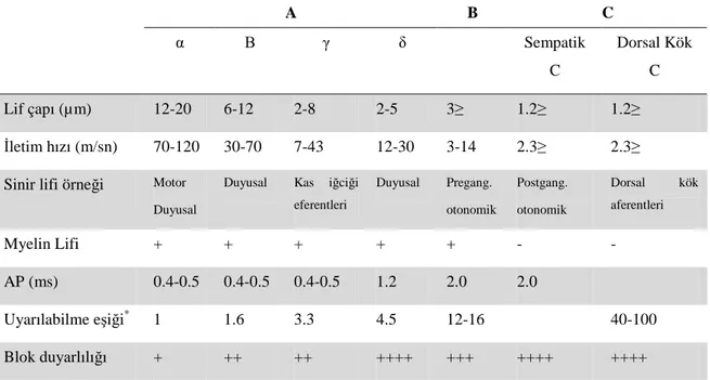 Tablo 2.1.   Memeli  sinir  liflerinin  gruplandırılması  ve  her  bir  sinir  grubunun  in  vitro 